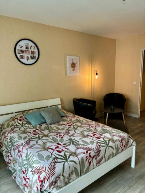 Charmant studio tours nord